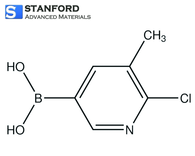 sc/1654830485-normal-2-Chloro-3-methylpyridine-5-boronic Acid.jpg